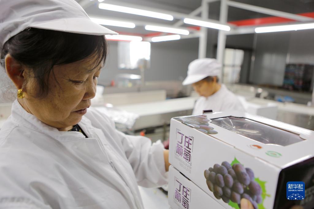 大奖官方网页登陆